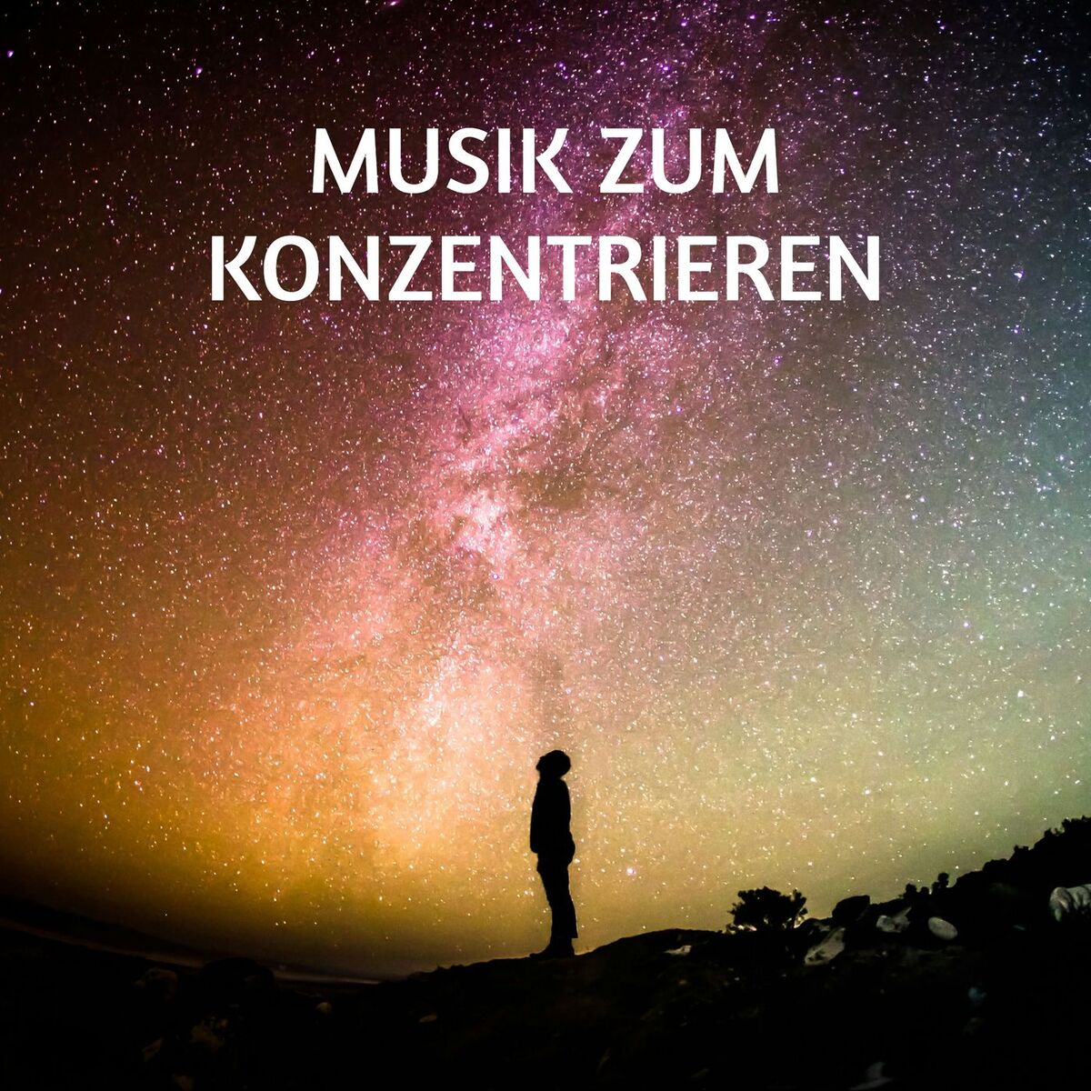 Album cover of Musik zum Konzentrieren