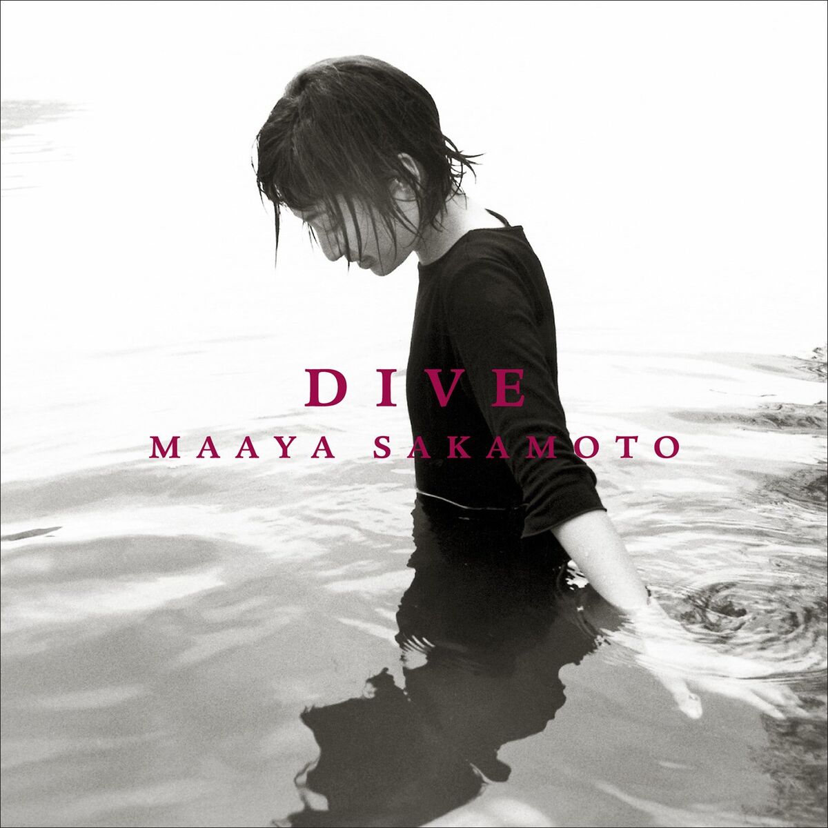 Album cover of DIVE