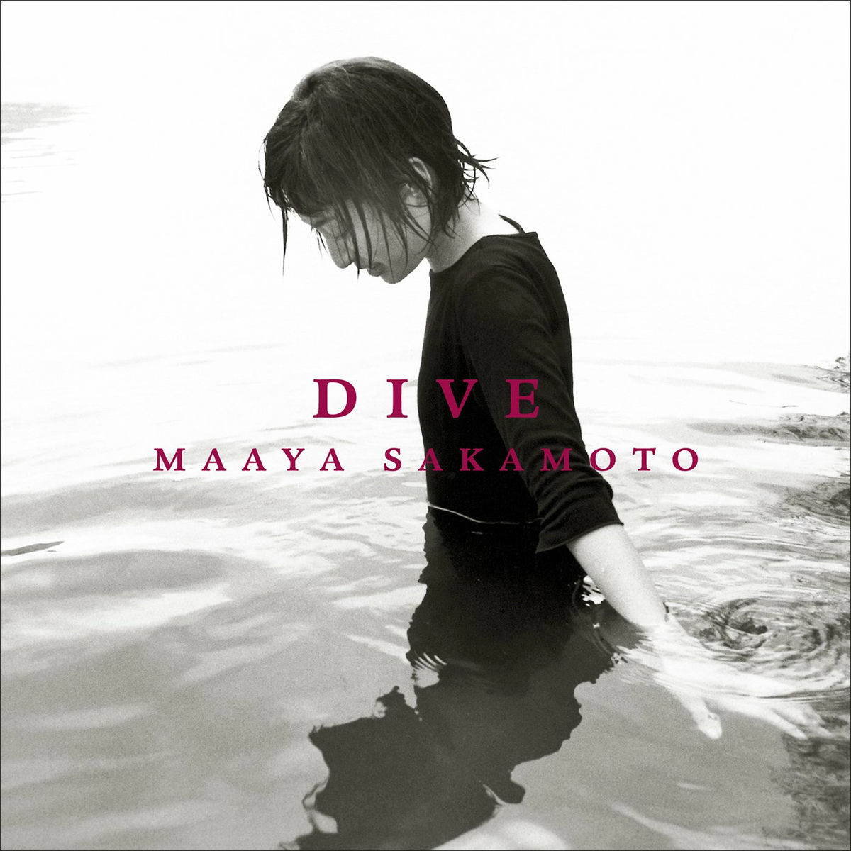 Album cover of DIVE