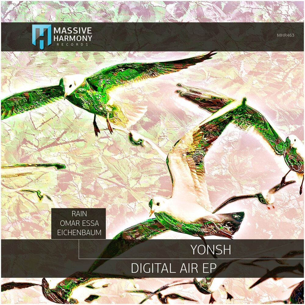 Picture of Digital Air