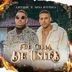 Cover of Fue Culpa De Usted