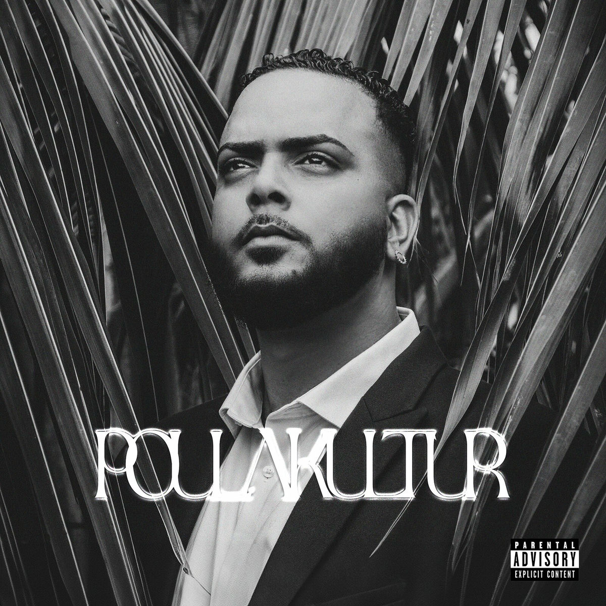 Album picture of Pou la Kultur