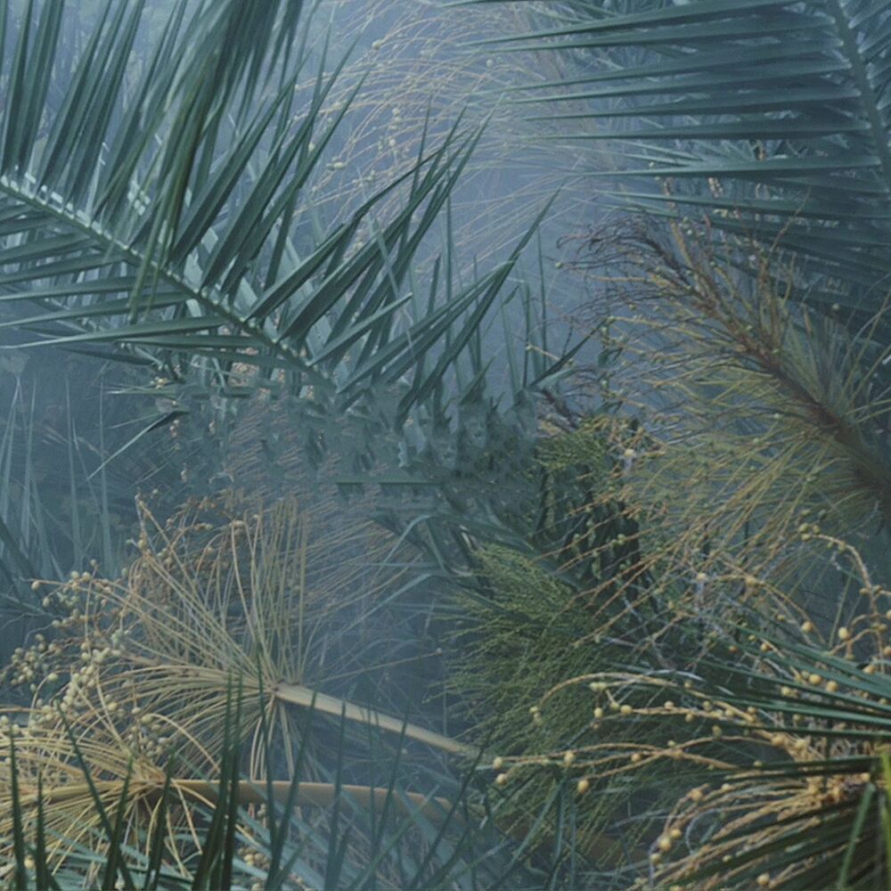 Picture of Naufragando