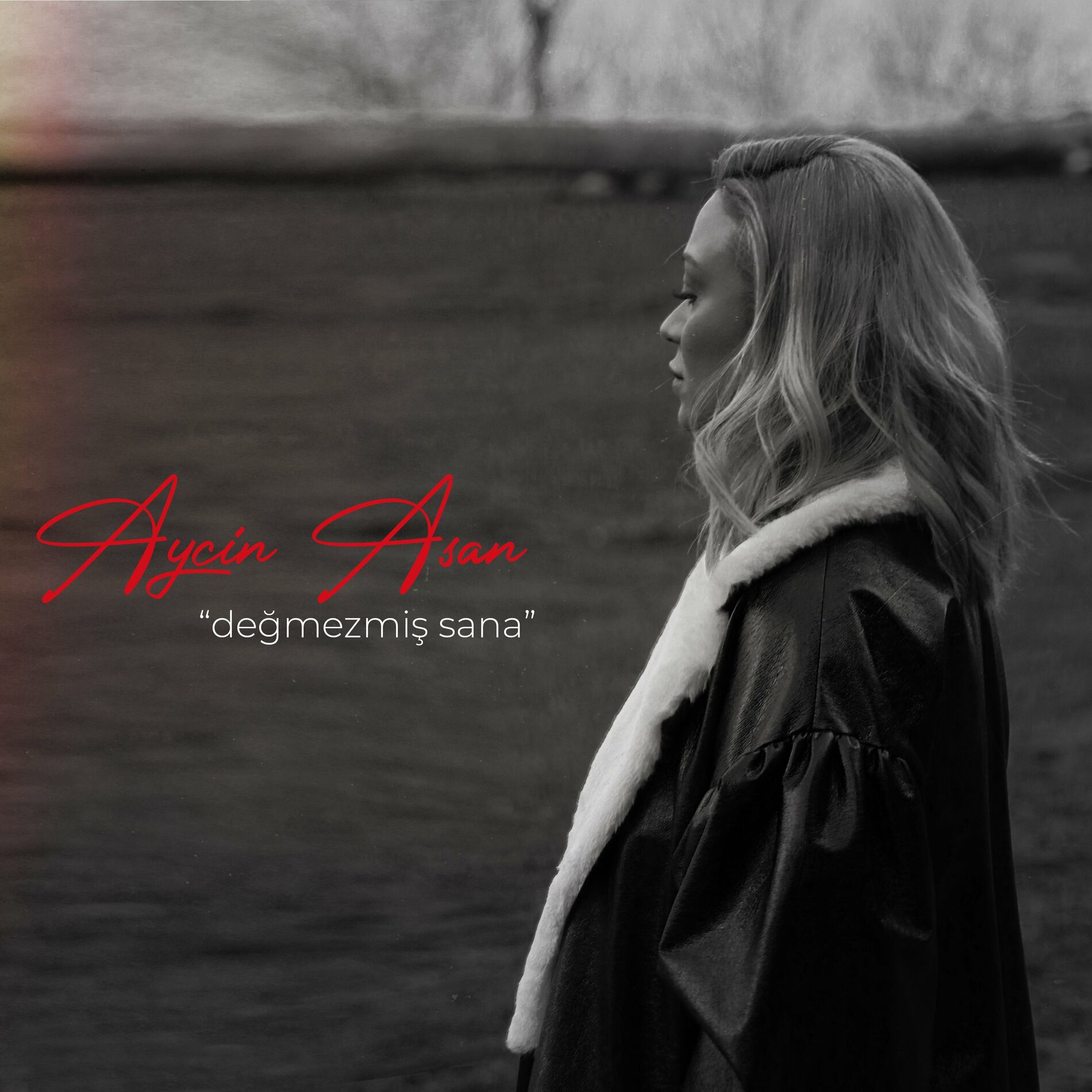Album cover of Değmezmiş Sana