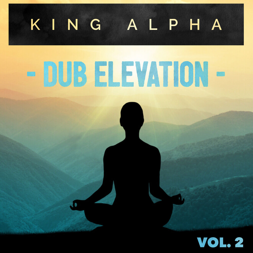 Picture of Dub Elevation Vol. 2