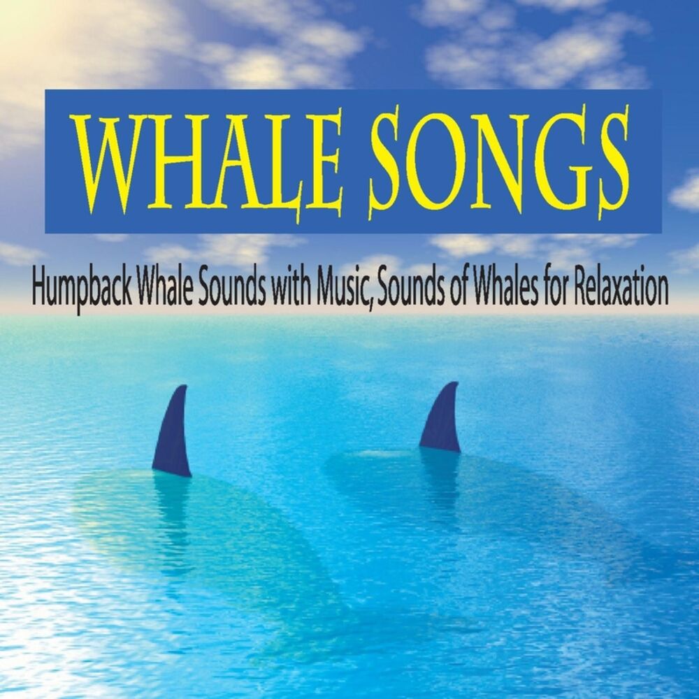 Picture of Whale Songs: Humpback Whale Sounds With Music, Sounds of Whales for Relaxation