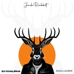 Cover of Jackrabbit