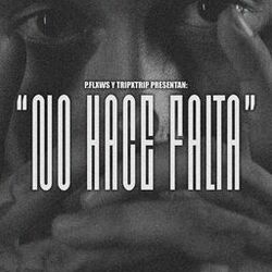 Cover of No Hace Falta