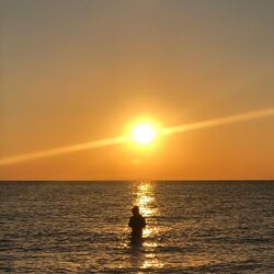 Cover of Late EP