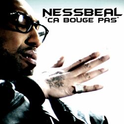 Cover of Ca bouge pas