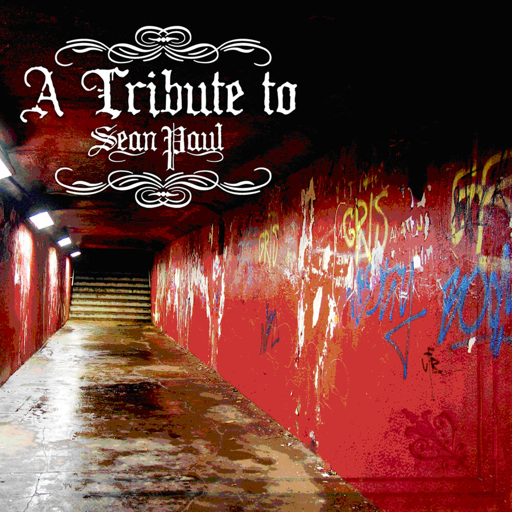 Picture of A Tribute To Sean Paul