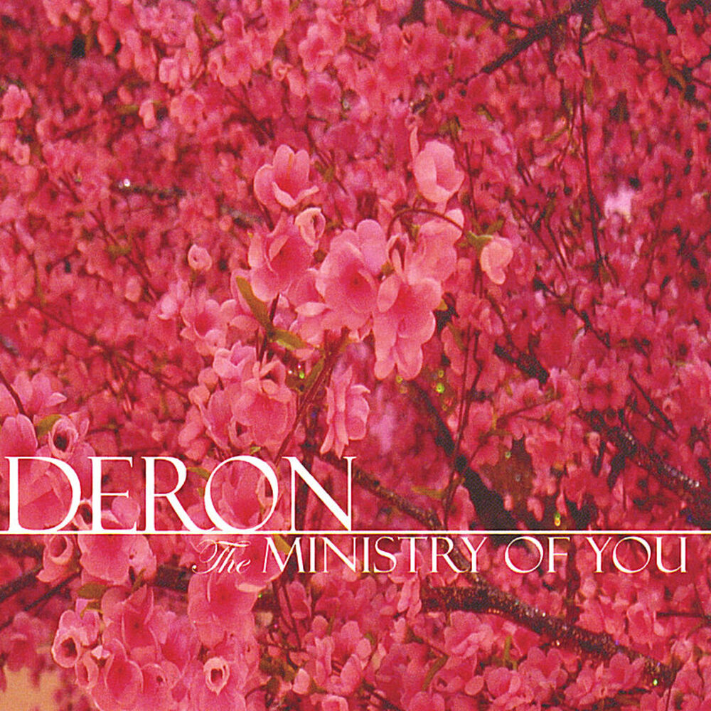 Picture of The Ministry of You