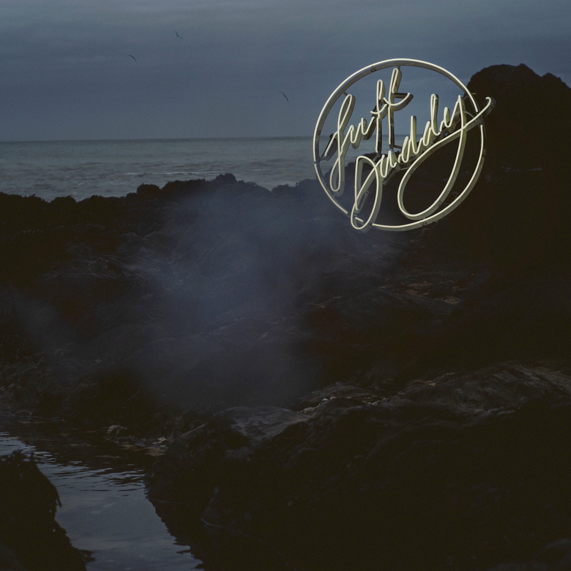 Album cover of Birdsongs