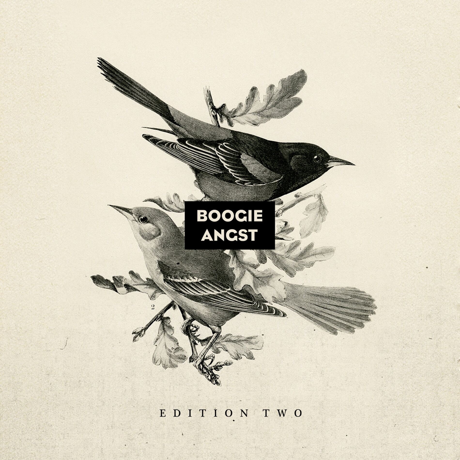 Album cover of Boogie Angst Edition Two