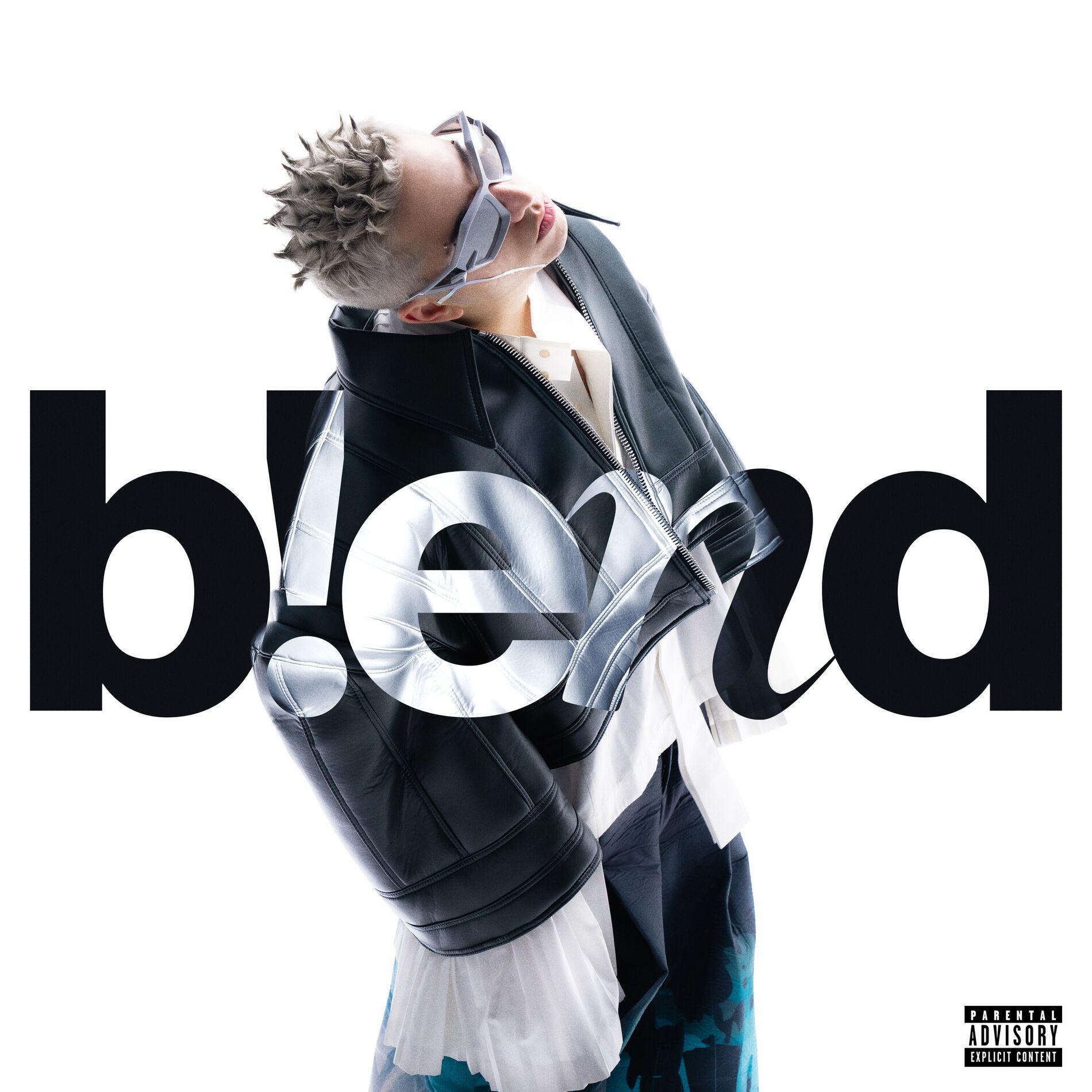 Album picture of BLEND