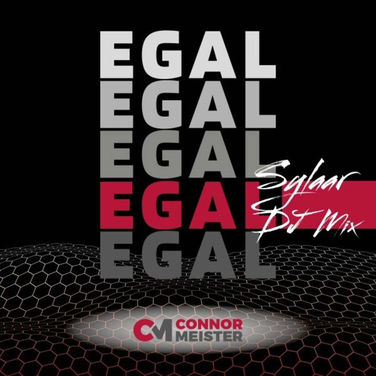 Album cover of Egal (Sylaar DJ Mix)