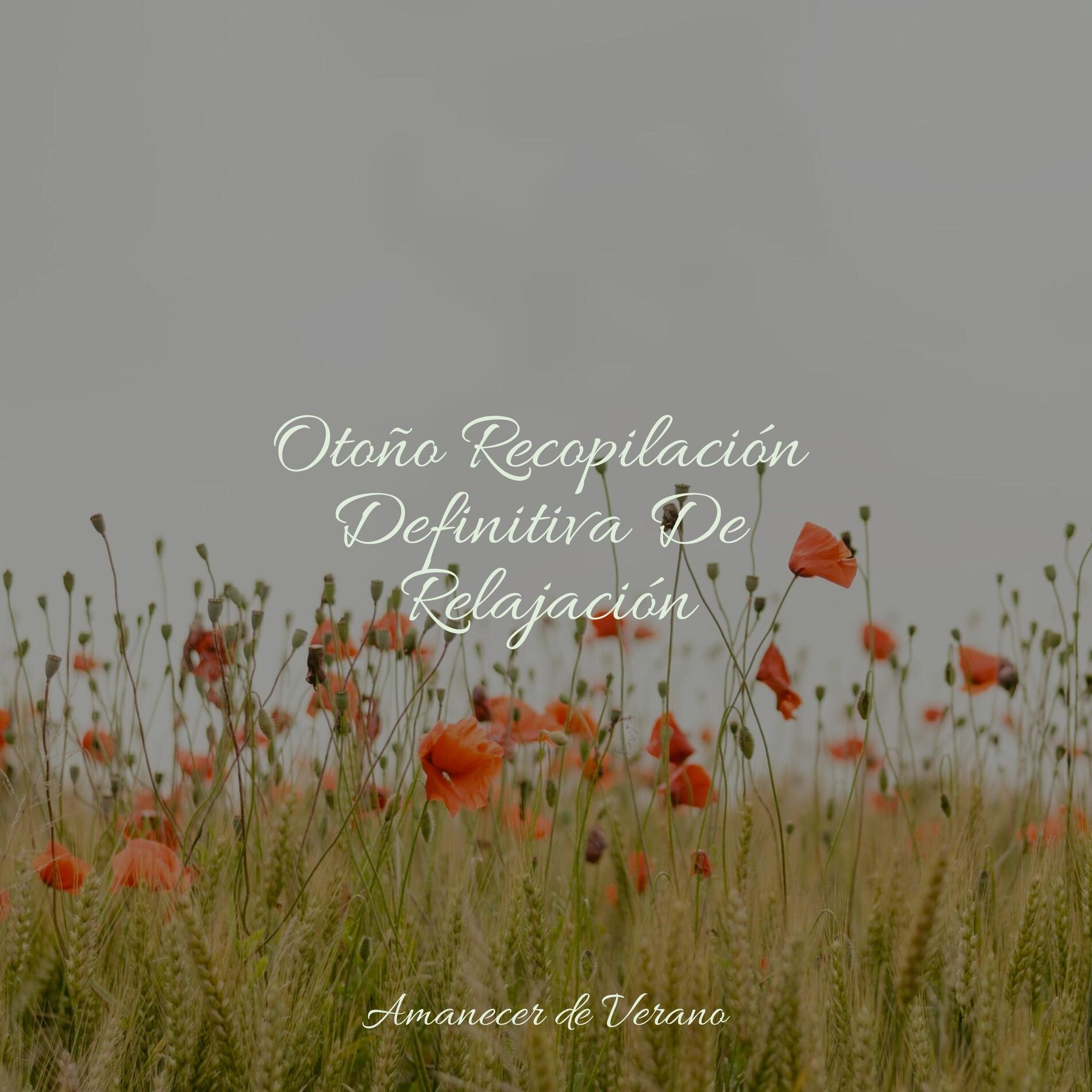Album cover of Otoño Recopilación Definitiva De Relajación