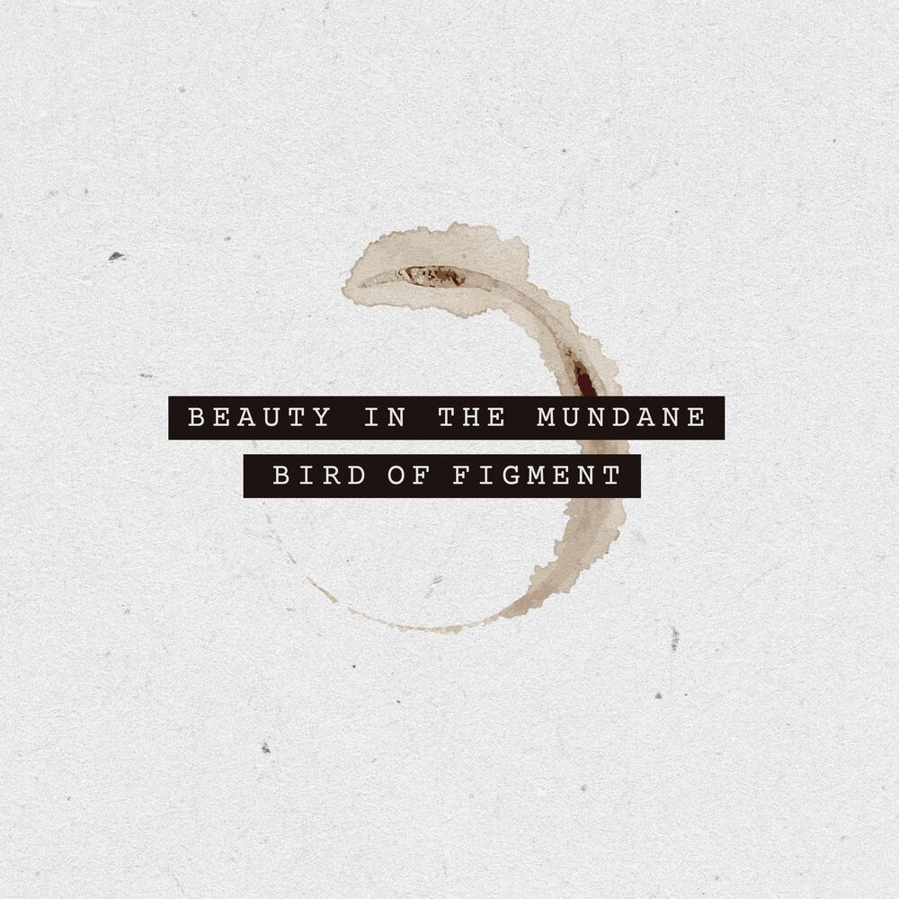 Picture of Beauty In The Mundane