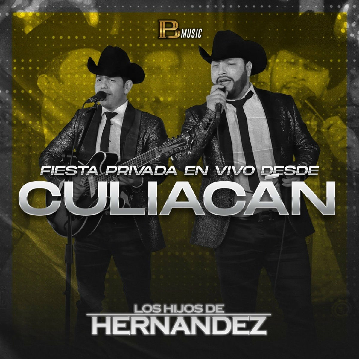 Album cover of Fiesta Privada En Vivo Desde Culiacan