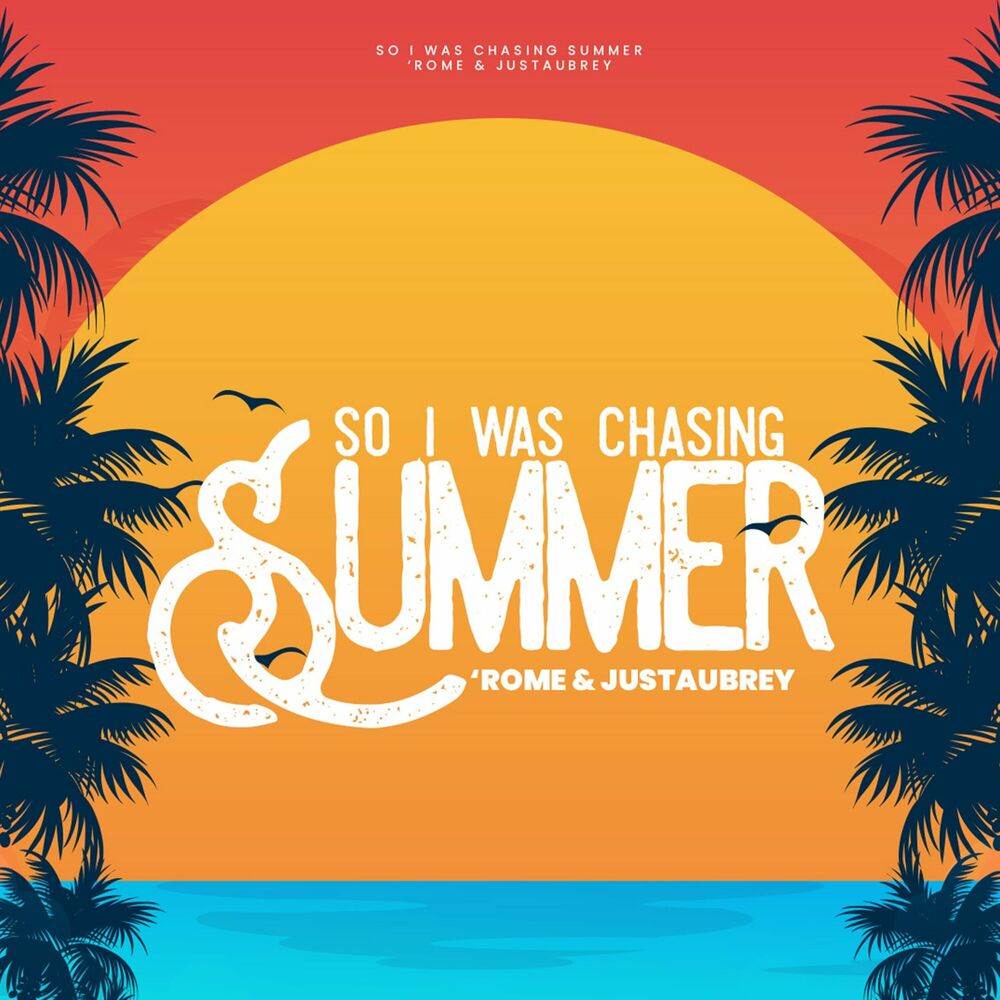 Picture of So I Was Chasing Summer