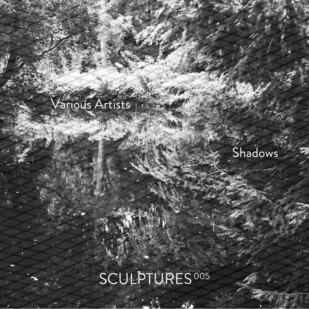 Picture of Shadows