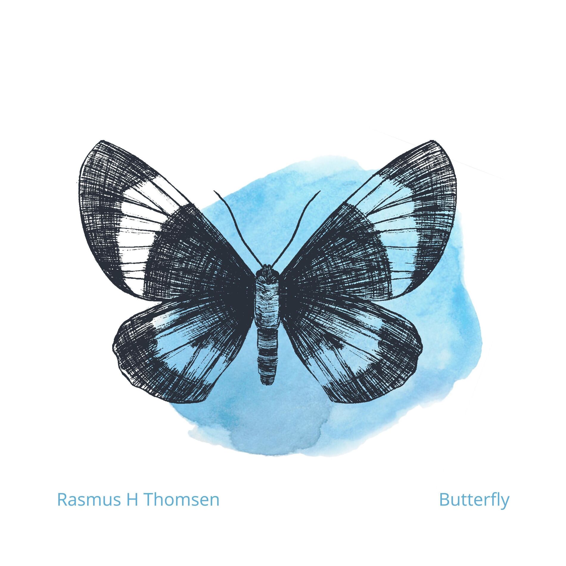 Album cover of Butterfly