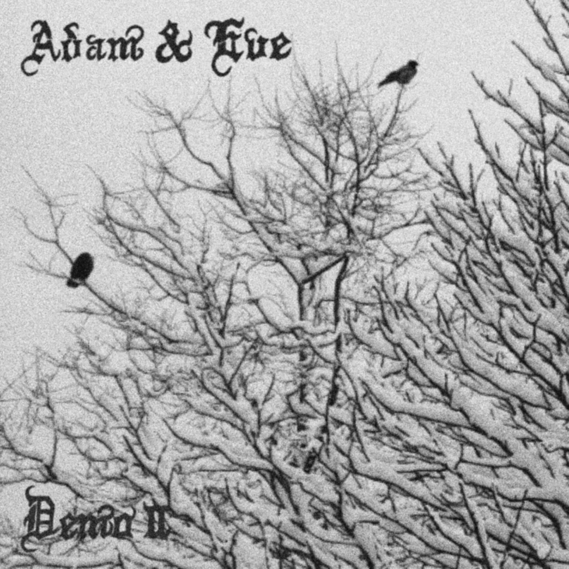 Album cover of Demo II