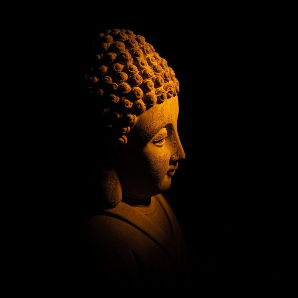 Picture of Lofi Mindful Retreat: Elevating Meditation with Serenity
