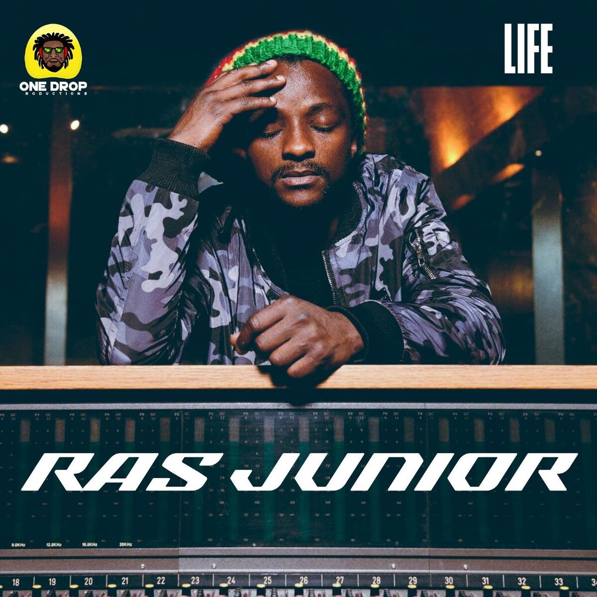 Album cover of LIFE