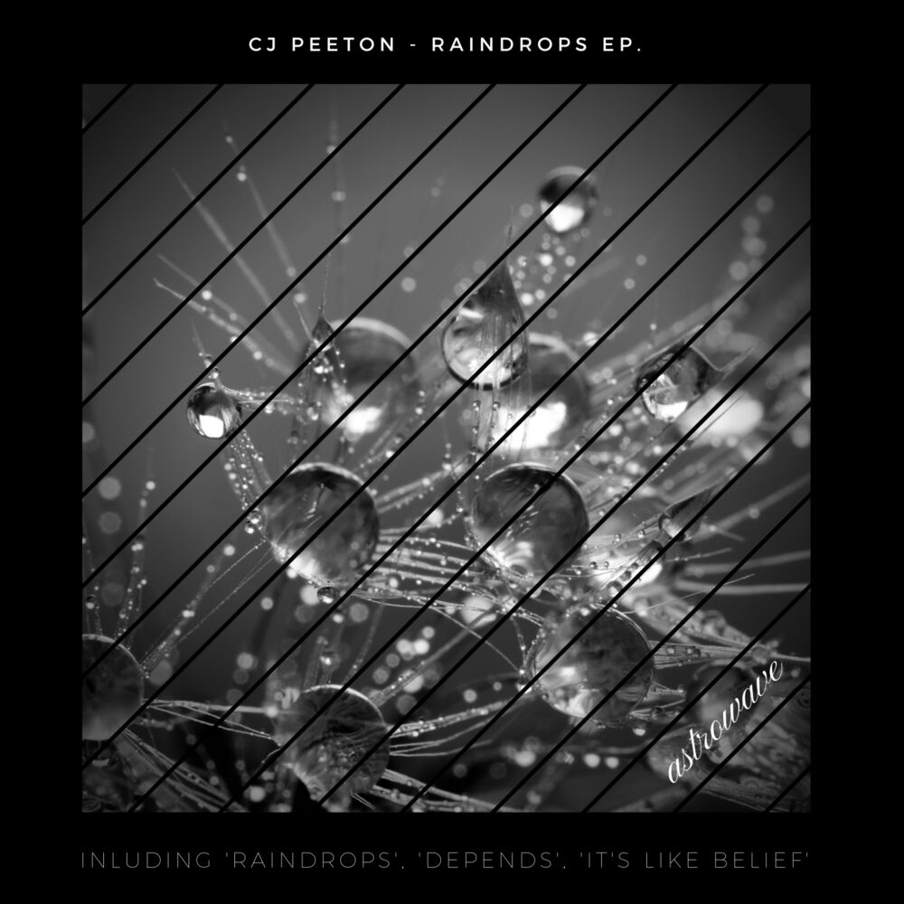 Picture of Raindrops