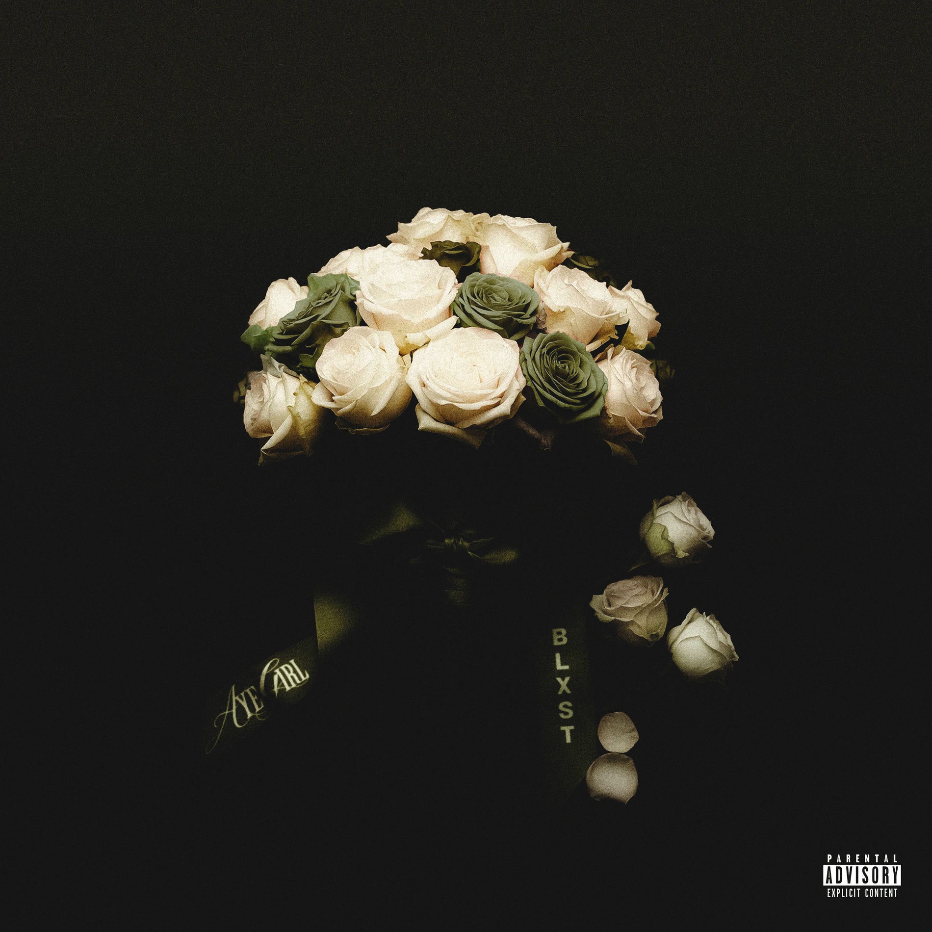 Album cover of Aye Girl