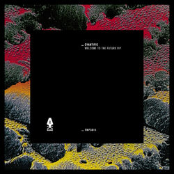 Cover of Welcome To The Future VIP