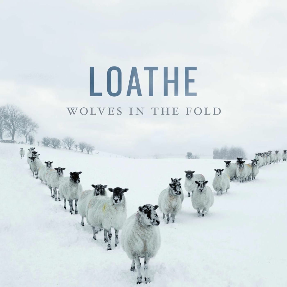 Album cover of Wolves in the Fold