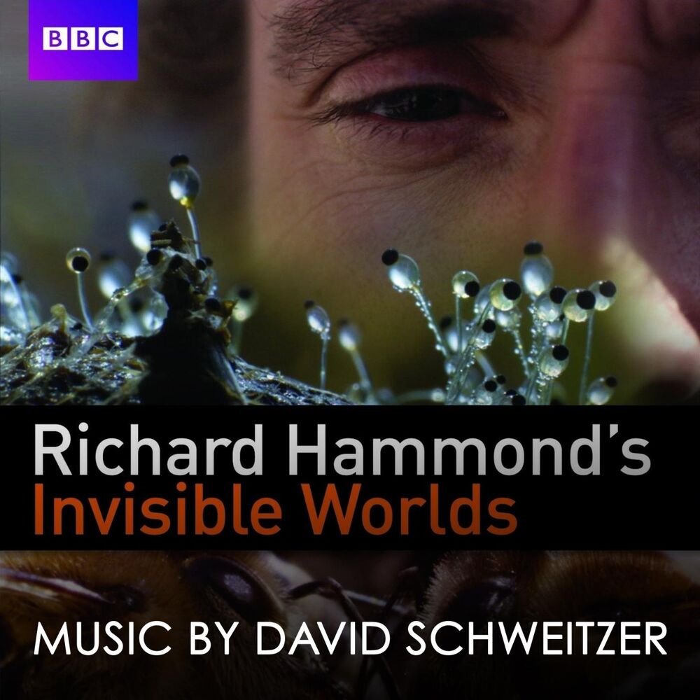 Picture of Richard Hammond's Invisible Worlds
