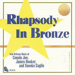 Cover of Rhapsody in Bronze