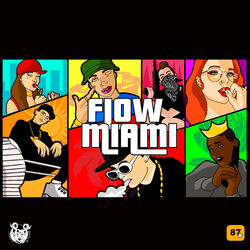 Cover of Flow Miami