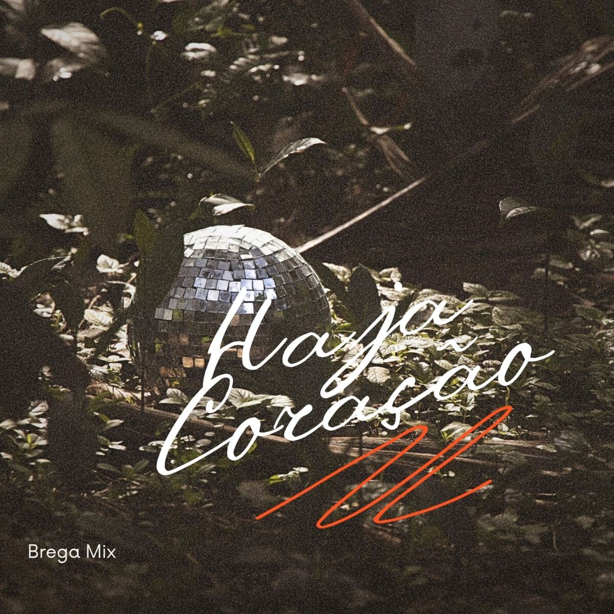 Album cover of Haja Coração
