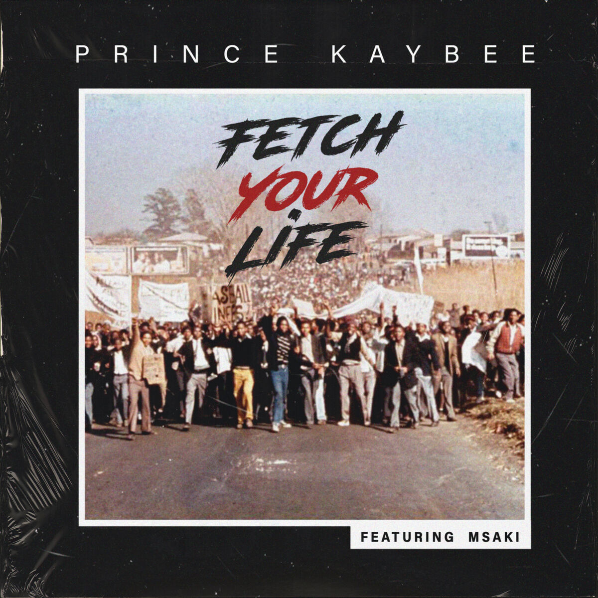 Album cover of Fetch Your Life