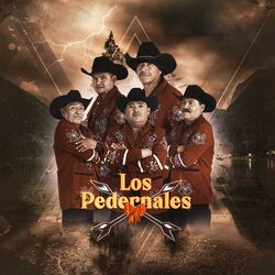 Cover of Los Pedernales