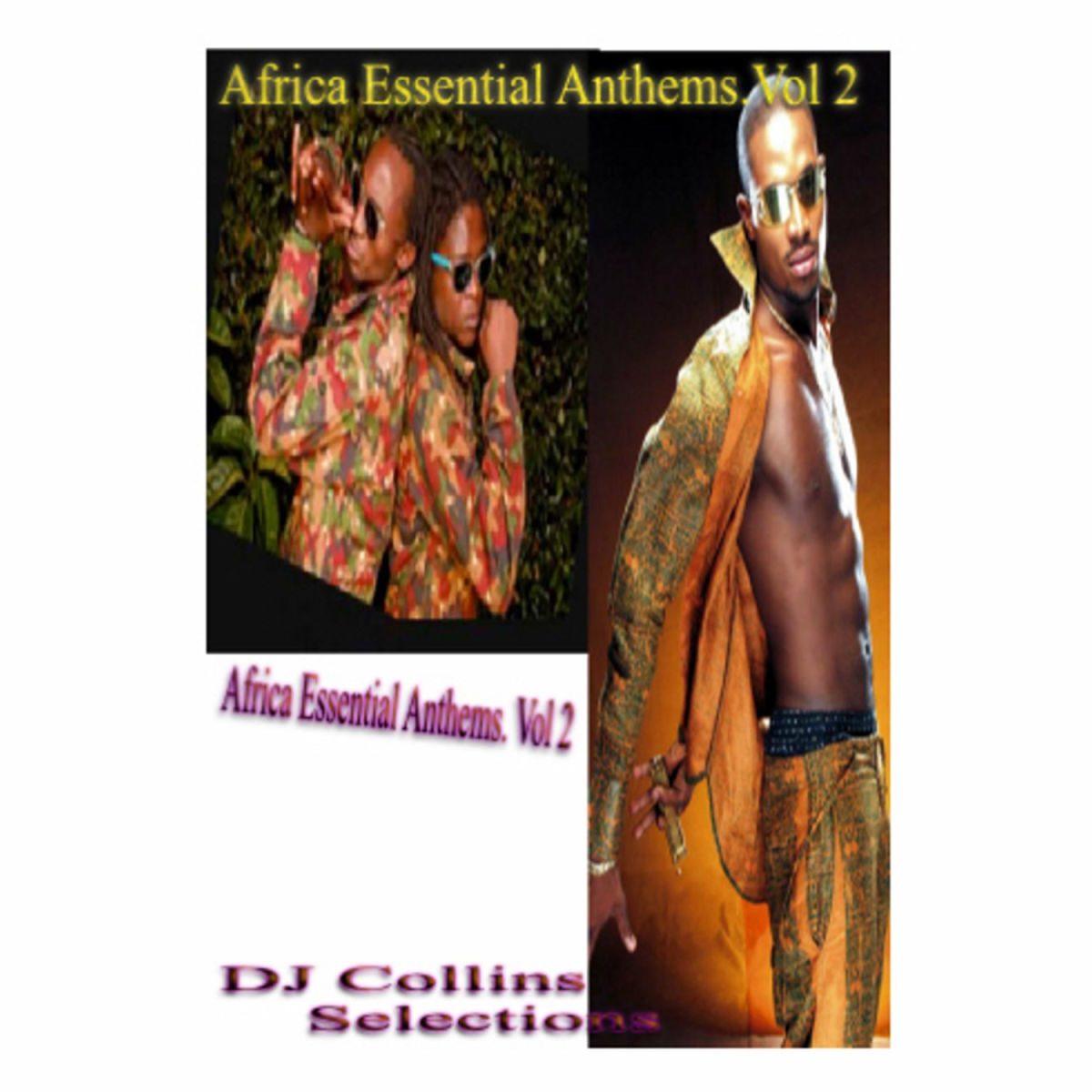 Album cover of Vien Wayner
