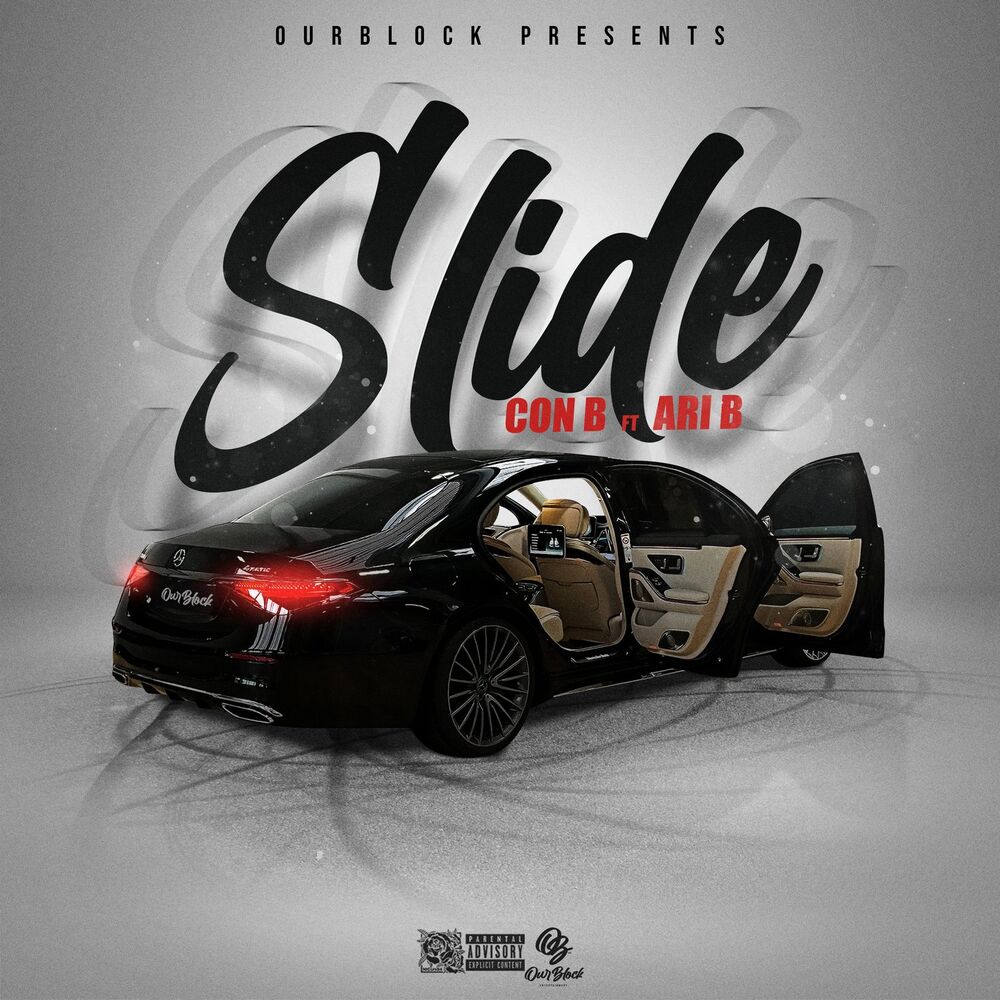 Picture of Slide
