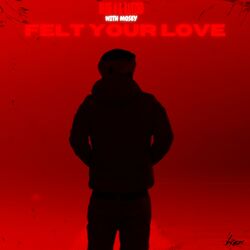 Cover of Felt Your Love