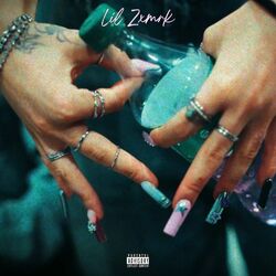 Cover of Don`t Try