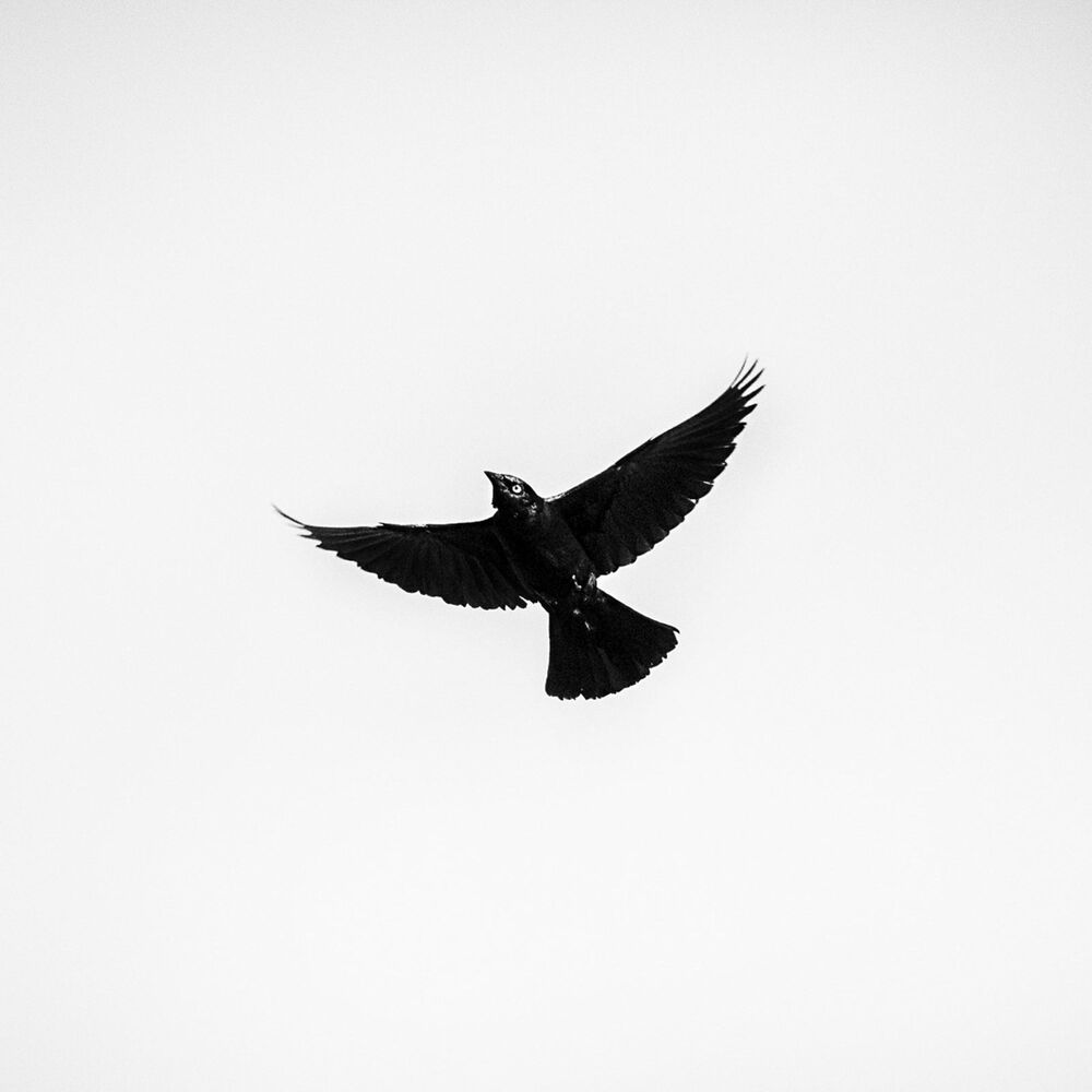 Picture of 777