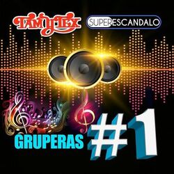 Cover of Gruperas # 1 (Grupero)