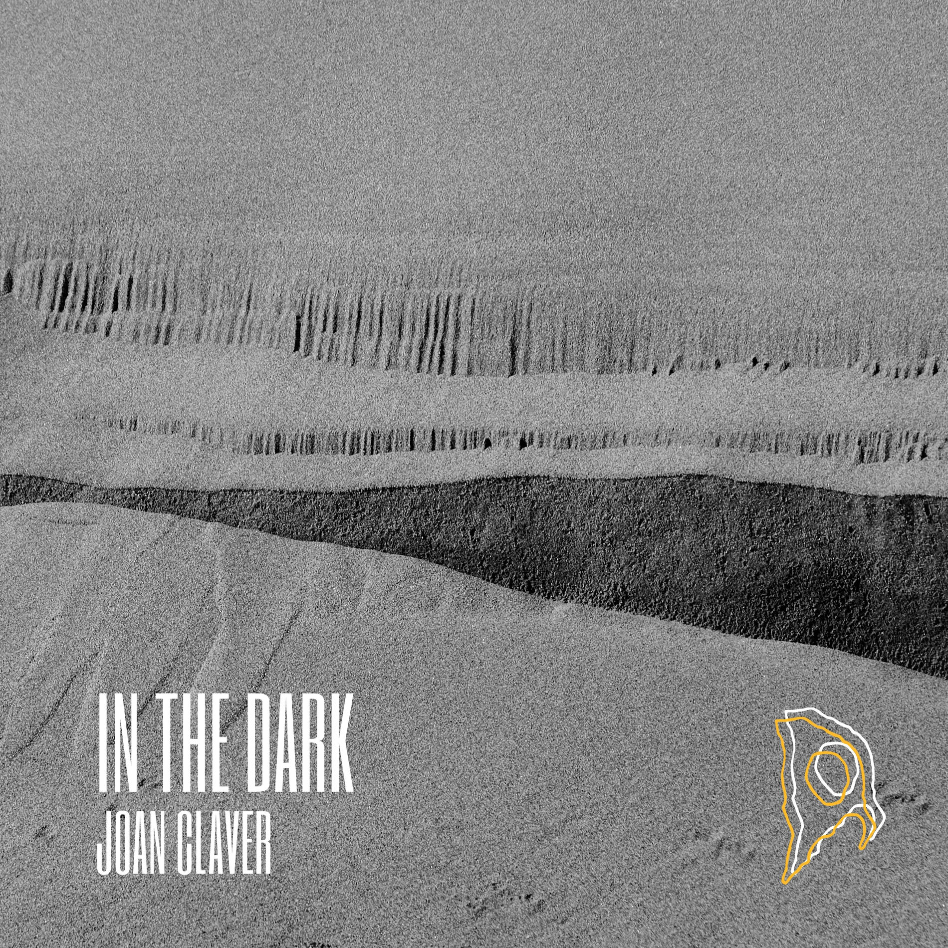 Album cover of In the Dark