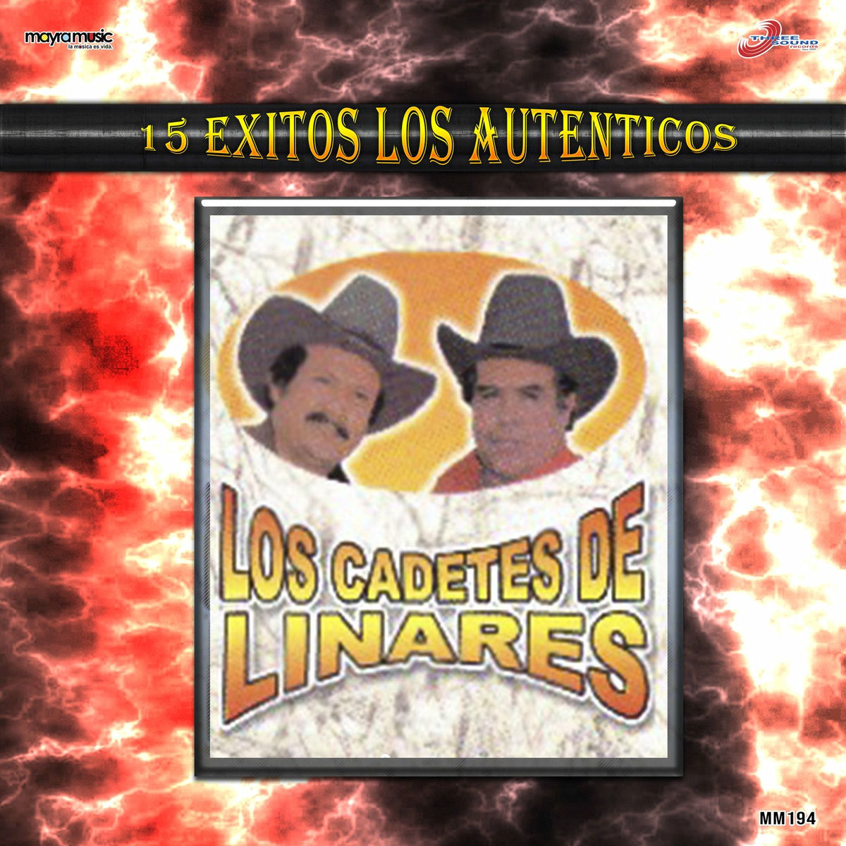 Album cover of 15 Éxitos Los Auténticos