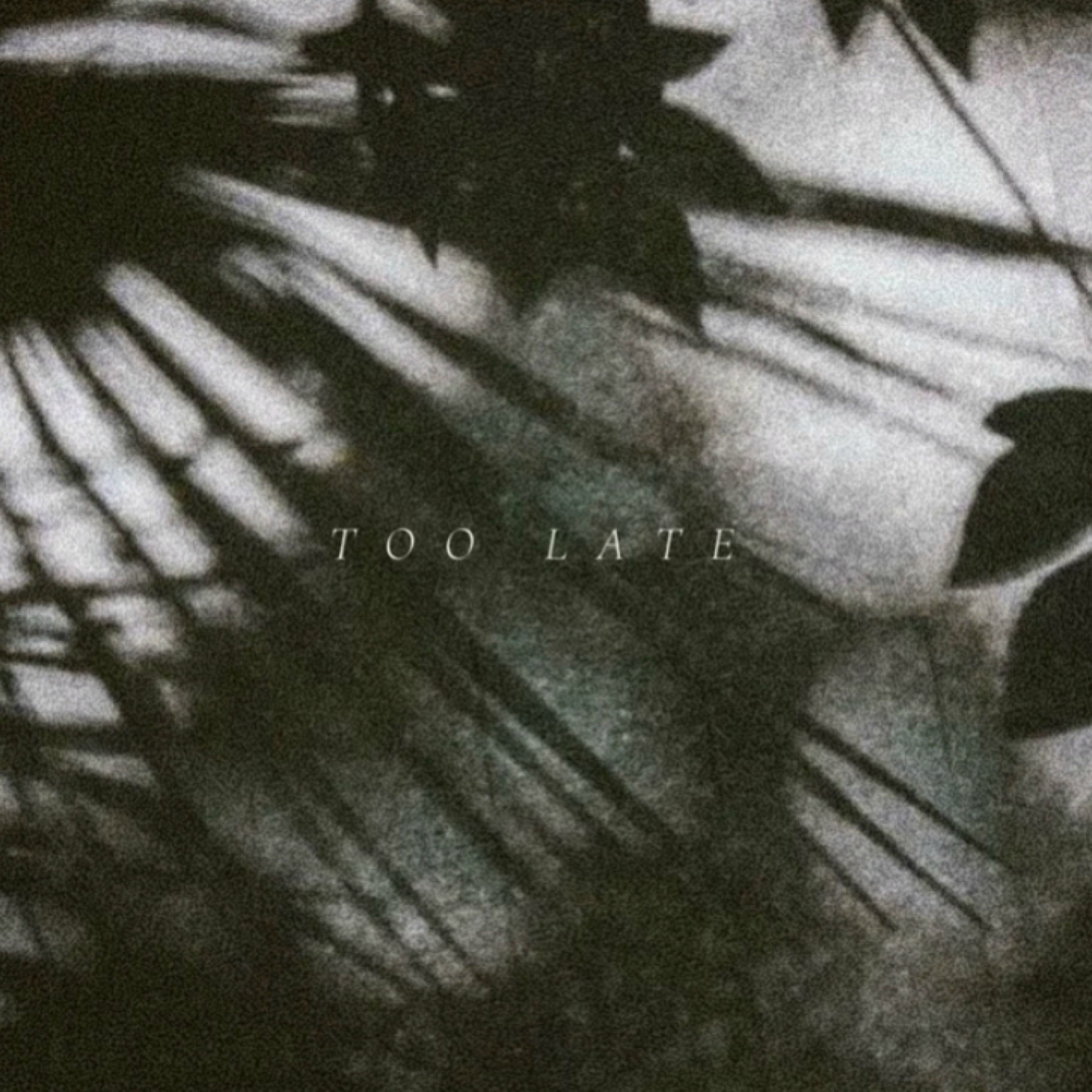 Album cover of Too Late