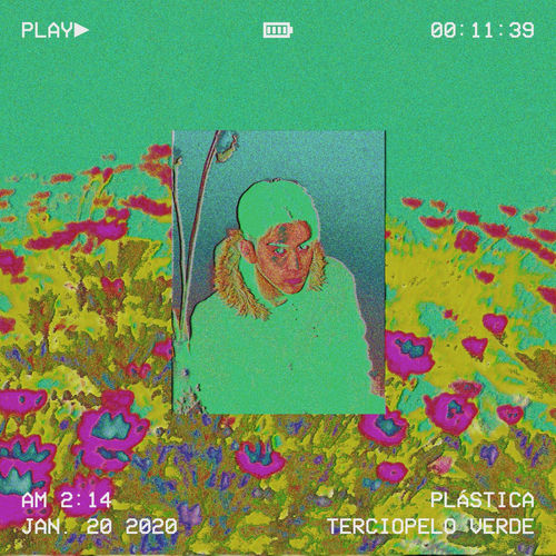 Terciopelo Verde