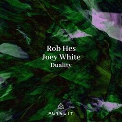 Cover of Duality